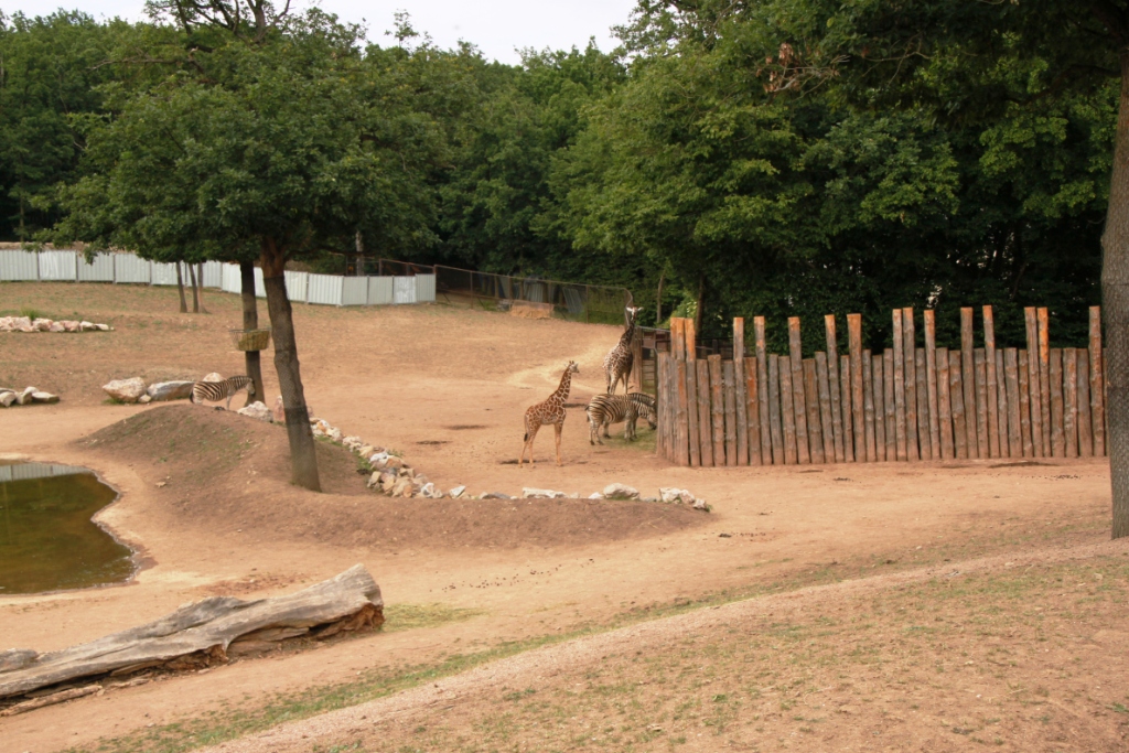 ZOO BRNO