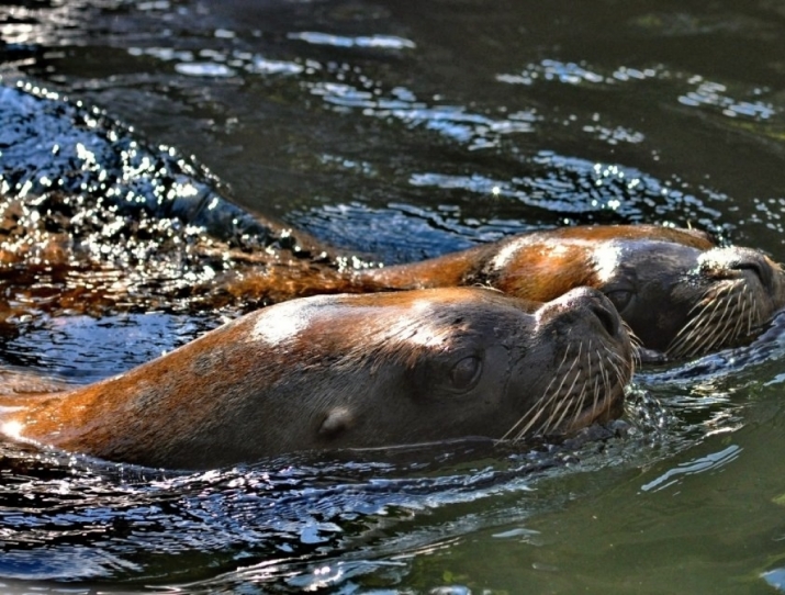 ZOO LEN U ZLNA