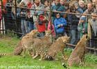  ZOO OLOMOUC 
(klikni pro zvten)