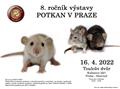 8. ronk vstavy Potkan v Praze