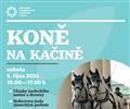 Koně na Kačině