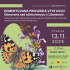 Komentovaná prohídka výstavou: Obnovený sad očima hmyzu v Libanicích